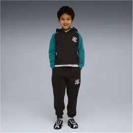 Puma Hoodie Black 116