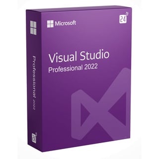 Microsoft Visual Studio 2022 Professional