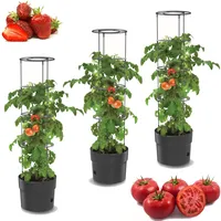 Botle 3X Tomatenpflanze Blumentopf für Tomaten Set 3 STK