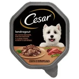 Cesar Hundefutter Landküche Pute & Rind 14 x 150 g