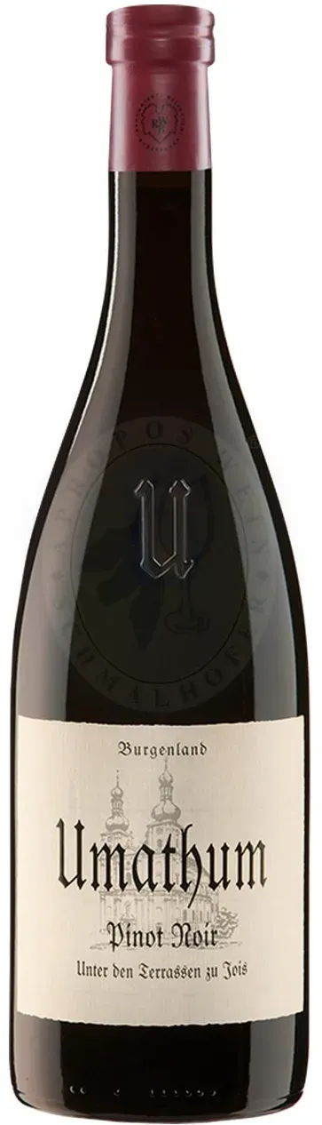 Pinot Noir Unter den Terrassen 2022 Umathum 0,75l