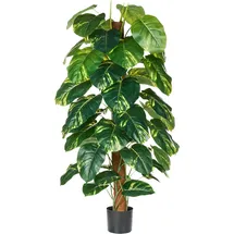 Beliani Kunstpflanze DIEFFENBACHIA 152 cm Grün