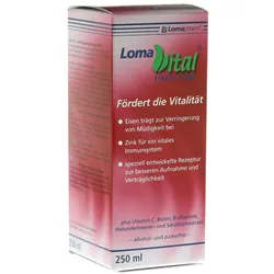 Lomavital Eisen+zink Flüssig 250 ml