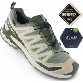 Salomon XA Pro 3D V9 GTX Herren Deep Lichen Green/Safari/Dark Earth 44 2/3