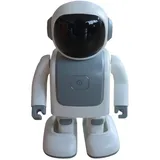 Allnet Robert - Roboter mit Bluetooth Speaker und Programmierung über APP