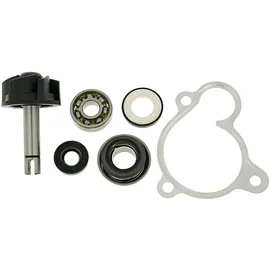 VICMA 8430525080034 Wasserpumpe Reparatursatz für Majesty, X-Max, X-City, Versity 250