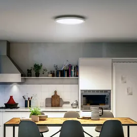 Philips Aurelle Panel 1 rund Aluminium