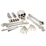 Boland Kostüm Satz Totenkopf und Knochen 12-teilig 23 cm Halloween Deko Set Party, Knochen bis zu 23 cm groß für realistische Optik grau