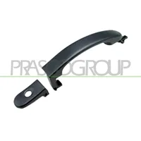 PRASCO Türgriff FD3508008