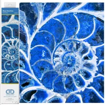 Diamond Dotz Blue Nautilus,