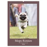 Calvendo Mops-Rennen (Wandkalender 2026 DIN A2 hoch), CALVENDO Monatskalender