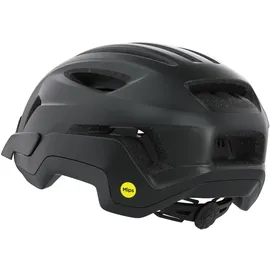 Alpina Paranus MIPS 52-56 cm schwarz-midnight grey matt 2026