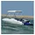 vidaXL Bimini Sonnenverdeck 3-Bow 183 x 137-152 x 137 cm 600D Polyester Weiß/Schwarz