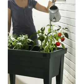 Jelenia Plast Hochbeet mit Haube 100 x 50 x 107 cm Schwarz