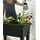Jelenia Plast Hochbeet mit Haube 100 x 50 x 107 cm Schwarz