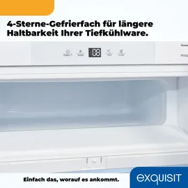 GGV Exquisit UKS130-4-FE-010E Unterbaukühlschrank (121 l, 823 mm hoch)