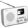 TechniSat TechniRadio 6 IR weiß/grau