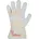 ELC Leder-Arbeitshandschuhe Handschuh Calcutta Rindvollleder 8
