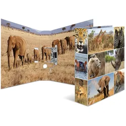 Herma Motiv-Ordner Karton A4, 7 cm Rückenbreite Afrika Tiere
