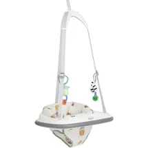 Graco Bumper JumperTM Türhopser für Babys, ab ca. 6 bis 12 Monate (max. 12 kg), bunt, Up & Away