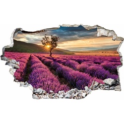 Wall-Art Wandtattoo Lavendel in der Provence lila 100 cm x 54 cm