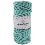 Baumwollkordel 3mm 100m, 46 Farben, Häkelkordel, Geflochten Baumwollkordel 3mm, Makramee Kordel, Makramee Garn, Premium Garn, Makramee Seil (Hellgrün)
