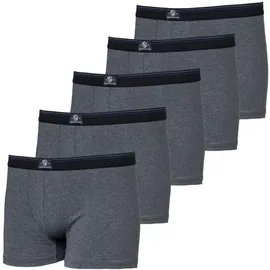 haasis bodywear Pants grau XL 5er Pack