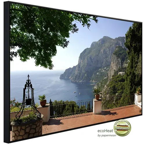 papermoon Infrarotheizung »EcoHeat - Blick auf die Terrasse«, Matt-Effekt - bunt