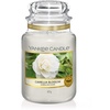 Camellia Blossom große Kerze 623 g