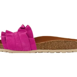 Verbenas Rocio Roda fuchsia 36