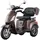 aktiv mobil AM E-Trike Pro Elektromobil 25 km/h braun