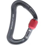 Ocùn Raven Screw Schraubkarabiner Grau