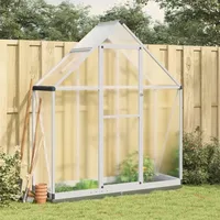 Faroom Aluminium Gewächshaus für den Garten 169 x 58 x 202 cm mit Fundamentrahmen, Gewächshaus Glas, Treibhaus, Tomatenhaus, Frühbeet, Pflanzenhaus Silbern und Transparent