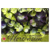 Calvendo Himmlische Hortensien (Tischkalender 2026 DIN A5 quer), CALVENDO