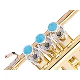 Heavy Trompete Custom Finger Buttons für alle Yamha (All YTR), Stomvi, Shagerl, Carol Brass und Fides Trompeten, Yamaha Flügelhorn 631/731, Yamaha Kornett Modelle (versilbert, türkis)