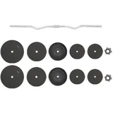vidaXL Curlstange 90 kg Schwarz