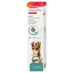 Beaphar Intestopro Pasta Hund ab 15kg 2 x 20 ml