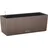 50 Komplettset 50 x 19 x 19 cm muskat