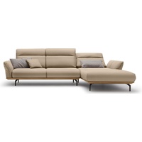 hülsta sofa Ecksofa hs.460, Sockel in Nussbaum, Winkelfüße in Umbragrau, Breite 318 cm beige