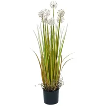 Europalms Pusteblume, 107cm