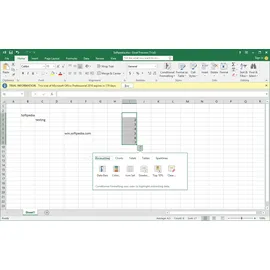 Microsoft Office Home & Student 2019 ESD DE Win Mac