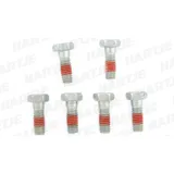 TRW bouten set screw set 6pcs. m6x1
