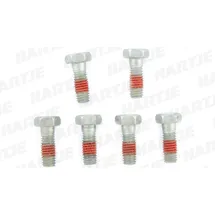 TRW bouten set screw set 6pcs. m6x1