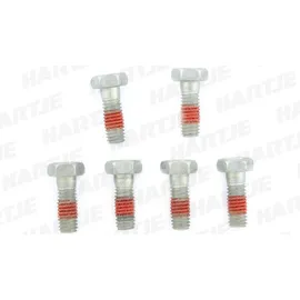 TRW bouten set screw set 6pcs. m6x1