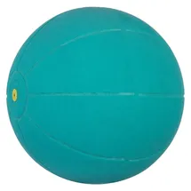 Wv Medizinball Grün 20 cm