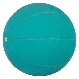 Wv Medizinball Grün 20 cm