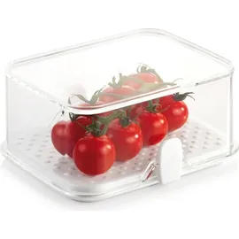 Tescoma Kühlschrank-Dose Purity (14x11cm)