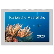 Calvendo Karibische Meerblicke (Wandkalender 2026 DIN A3 quer), CALVENDO Monatskalender: Faszination karibische Unterwasserwelt - türkises Wasser und eine ... erwarten Sie! (CALVENDO Natur)