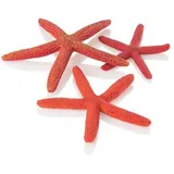 biOrb Aquariendeko Seesterne Set 3 rot