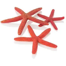 biOrb Aquariendeko Seesterne Set 3 rot